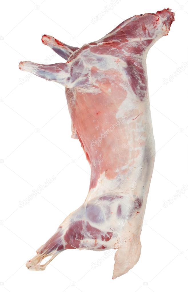 Sheep carcass — Stock Photo © Alexan66 14170380