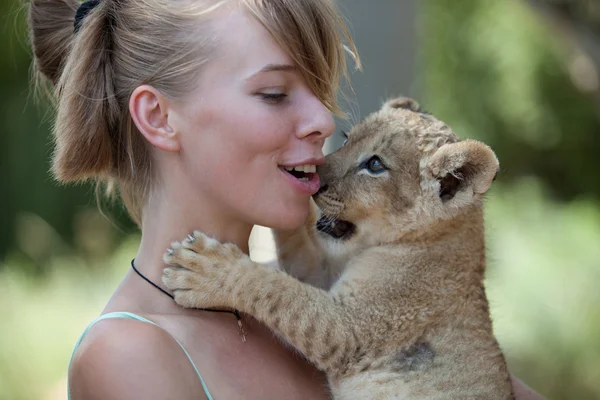 Piccolo leone cucciolo mordere ragazza giocare — Foto Stock