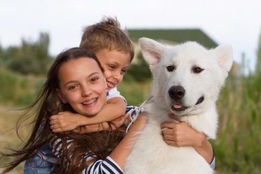 Beyaz malamute köpekle oynayan çocuklar