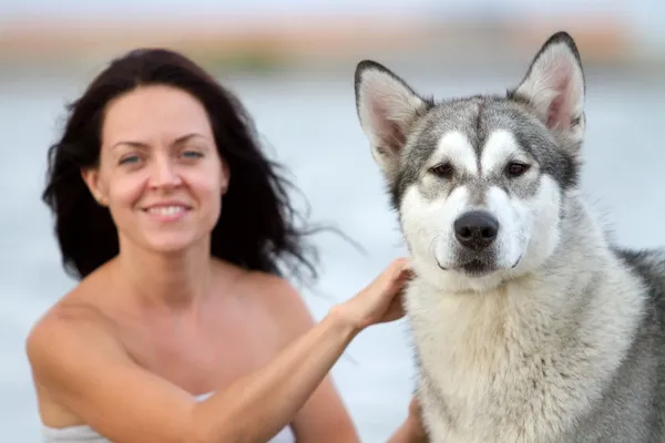 アラスカンマラミュート犬を持つ若い女 — ストック写真