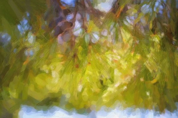 Gałęzie Sosny Malowane Płótnie Drzewa Jodłowe Wybrzeża Adriatyku Chorwacji — Zdjęcie stockowe