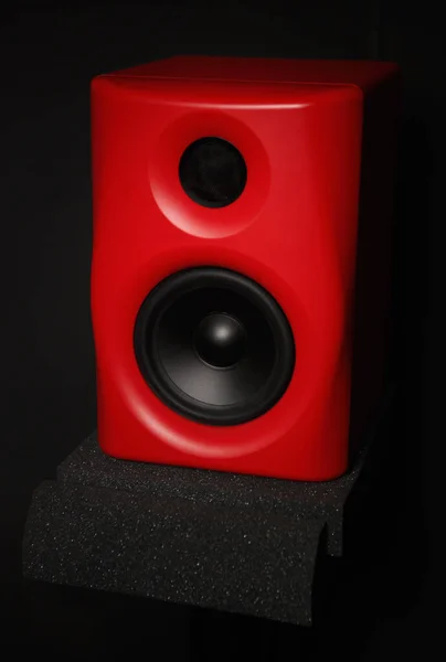 Professional Studio Monitors Musician High Quality Speakers Sound Recording Studio — Stock Photo, Image