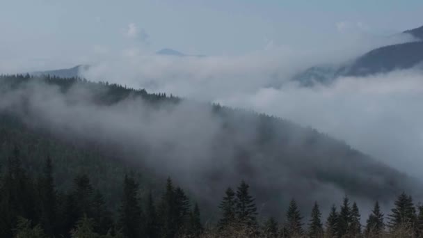 Video Clip Panorámico Las Montañas Los Cárpatos Niebla Pesada Niebla — Vídeo de stock