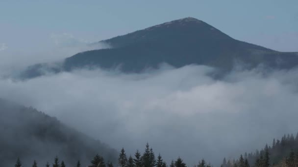 Escena Tranquila Las Montañas Cárpatos Filmada Temprano Mañana Niebla Pesada — Vídeo de stock