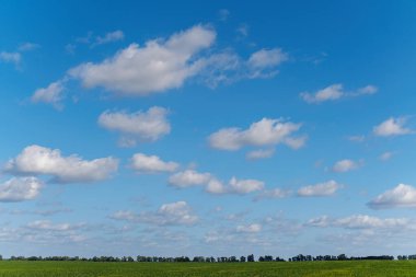 Mavi gökyüzü, yeşil çayırın üzerindeki beyaz bulutlar sonbahar mevsiminin başlarında çekildi. Arka planda tarım, gökyüzü ve ağaçların olduğu güzel kırsal alan
