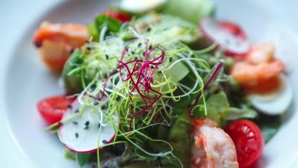 Verse Vissalade Met Garnalen Microgreens Geserveerd Wit Bord Restaurant — Stockvideo