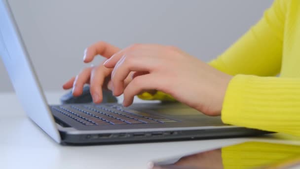 Wanita Pekerja Lepas Mengetik Teks Komputer Notebook Dalam Video Closeup — Stok Video