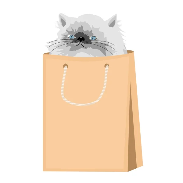 Beau chat persan dans un sac en papier — Image vectorielle