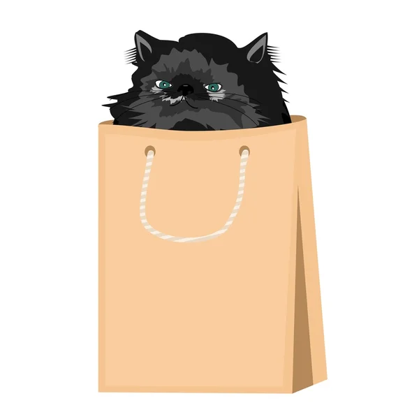 Gato persa agradável em saco de papel — Vetor de Stock