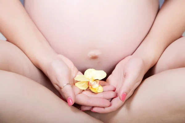 Красивый беременный живот — стоковое фото