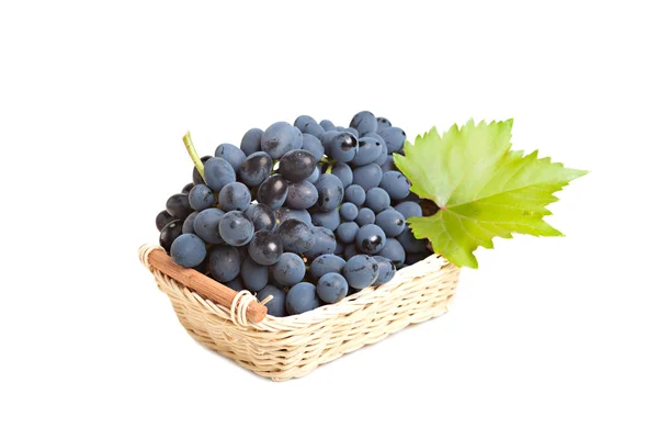 Uvas maduras — Foto de Stock