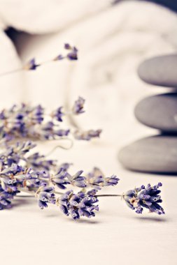 Spa Teması