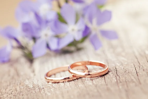 Wedding rings — Stock Photo, Image