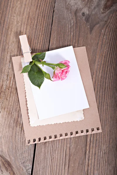 Leere Kartonkarte mit Blumen — Stockfoto
