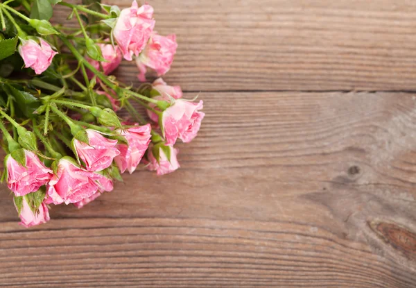 Rosas rosadas — Foto de Stock