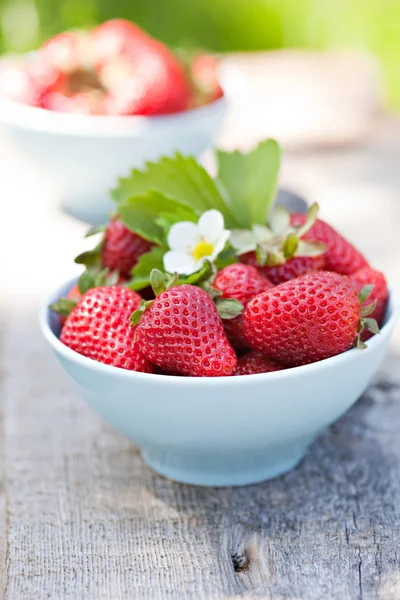 Verse zoete aardbei — Stockfoto