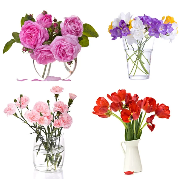 Aantal bloemen op wit — Stockfoto