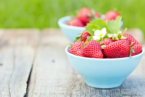 新鲜甜草莓 — 图库照片