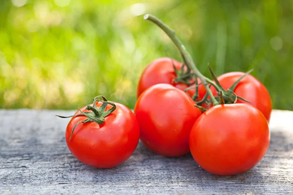 Färska söta tomater — Stockfoto