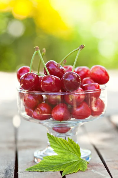 Cherry gevuld buiten — Stockfoto