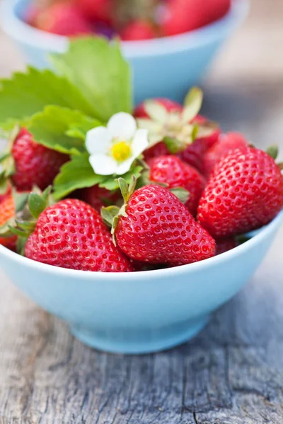 Verse zoete aardbeien in de kom, selectieve aandacht — Stockfoto