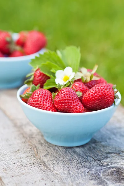Fresh sweet strawberries in the bowl, selective focus — Stock Photo, Image