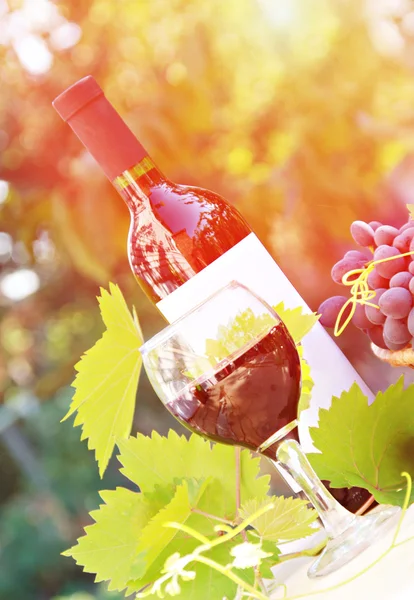 Состав красного вина и винограда — стоковое фото