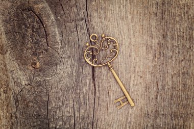 Vintage anahtar