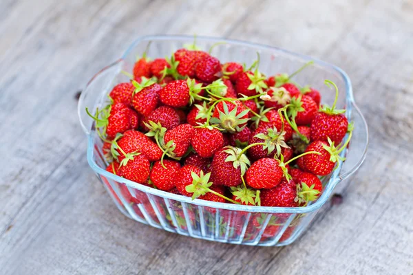 Strawberries outdoor — Stock Photo, Image
