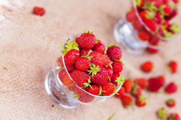 Fresh sweet strawberries in the bowl, selective focus — Stock Photo, Image