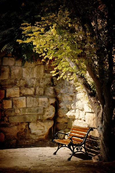 ベンチ、木、古い石壁 — ストック写真