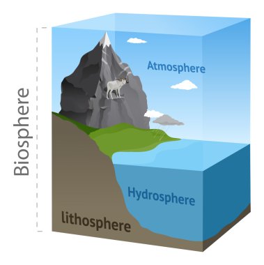 Biosphere illustration in vector clipart