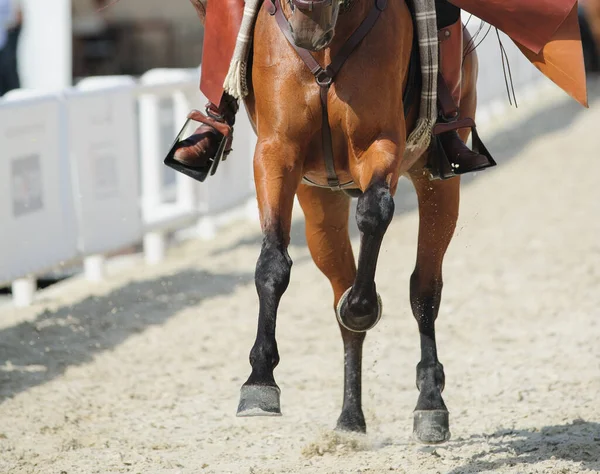 Horse Rider Legs Vew Spanish Show — Stock Photo, Image