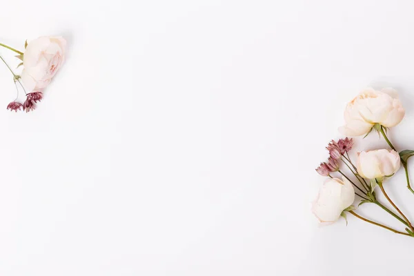 Состав осенних цветов. Рамка из розовой розы, гортензии цветы на белом сером фоне. Плоский лежал — стоковое фото