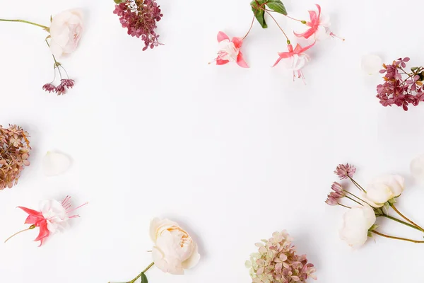 Composición de flores de otoño. Marco hecho de rosa rosada, flores de hortensias sobre fondo gris blanco. Puesta plana — Foto de Stock