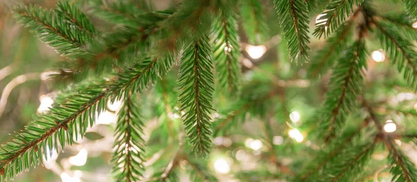 Garland på trädet utanför. Julgran dekorerad med julbelysning, makro — Stockfoto