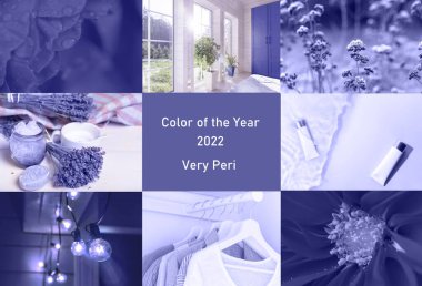Bir dizi canlı mor ya da menekşe fotoğraf, renk yılı 2022