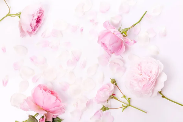 Composición de flores. Marco de flores de color rosa sobre fondo blanco. Plano, vista superior, espacio para copiar —  Fotos de Stock