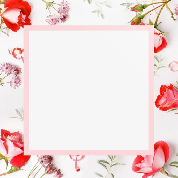 白地にピンクの花を咲かせます. — ストック写真