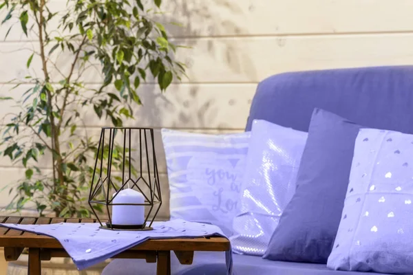 Ficus, oreillers sur canapé et bougie dans le salon de style scandinave aux couleurs tendance de 2022 — Photo