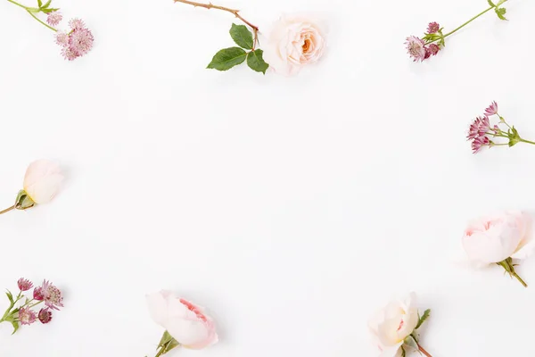 꽃 성분. 하얀 배경에 분홍색 장미 꽃으로 만든 향기. 평평하게 누워 있는 위에서 바라본 모습 — 스톡 사진