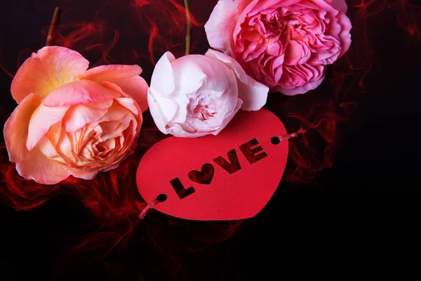 Concepto de amor y San Valentín, rosa y rosa roja sobre fondo negro, humo rojo. — Foto de Stock