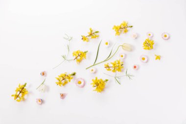 Küçük çiçekli bahar çerçevesi ve papatya, çiçek aranjmanı