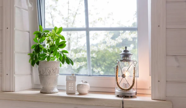 Biophilie-Design. Zimmerpflanzen auf der Fensterbank eines Holzhauses im skandinavischen Stil — Stockfoto
