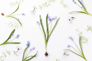 Küçük çiçekli bahar çerçevesi ve papatya, çiçek aranjmanı