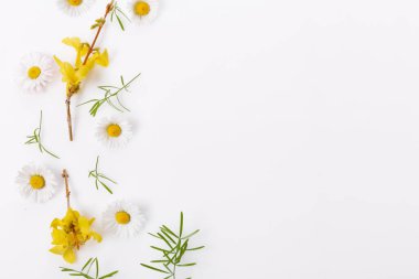 Küçük çiçekli bahar çerçevesi ve papatya, çiçek aranjmanı