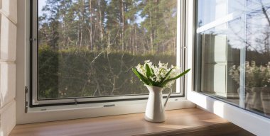 Çiçek bahçesine bakan ahşap bir evde sivrisinek ağı olan beyaz pencere..