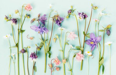 Çiçek desenli kır çiçekleri, yeşil yapraklar, mavi arka planda dallar. Düz yatıyordu