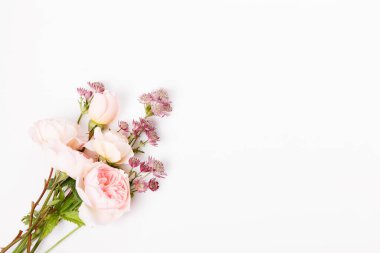 Beyaz arka planda şenlikli pembe çiçek buketi.