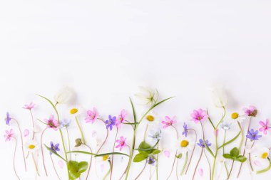 Beyaz arka planda pembe, mavi ve mor renkli küçük kır çiçekleri.